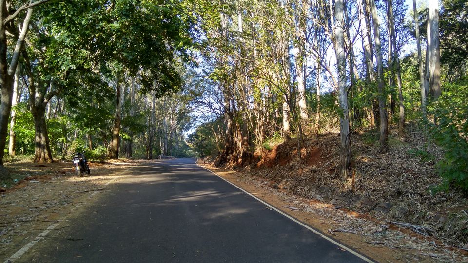 Photo of Trip to Horsley Hills 2/5 by Akul Bajaj
