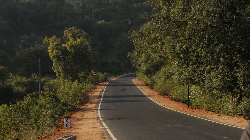 Photo of Trip to Horsley Hills 5/5 by Akul Bajaj