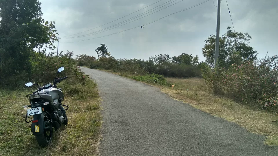 Photo of Yercaud - Where the drive is better than the destination itself! by Akul Bajaj
