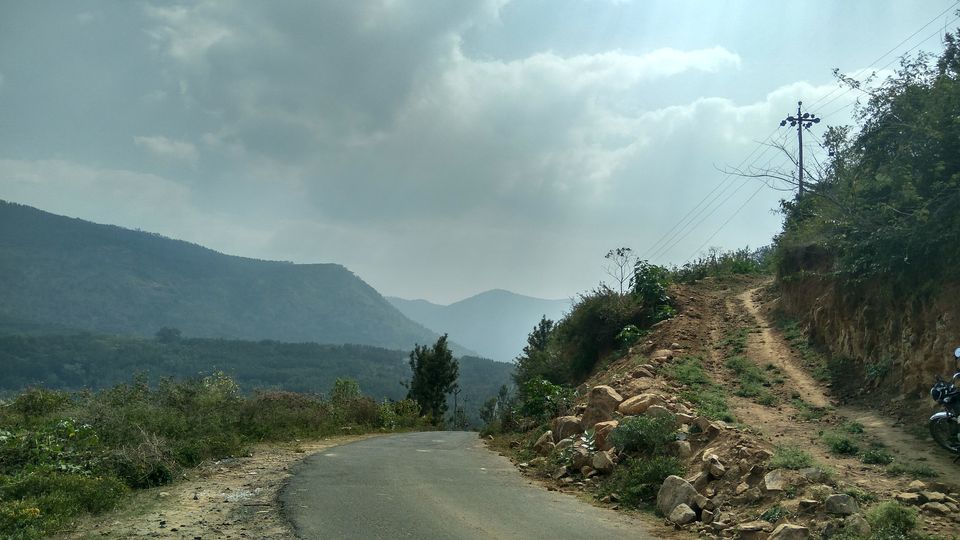 Photo of Yercaud - Where the drive is better than the destination itself! by Akul Bajaj