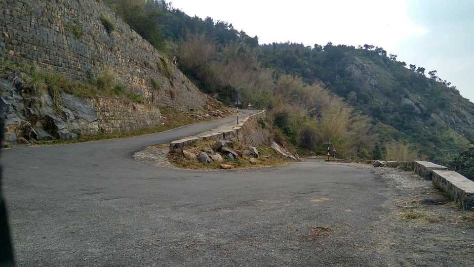 Photo of Yercaud - Where the drive is better than the destination itself! by Akul Bajaj