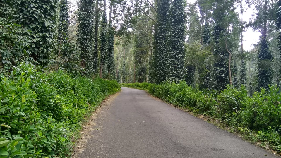 Photo of Yercaud - Where the drive is better than the destination itself! by Akul Bajaj