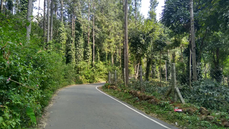 Photo of Yercaud - Where the drive is better than the destination itself! by Akul Bajaj