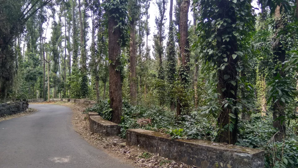 Photo of Yercaud - Where the drive is better than the destination itself! by Akul Bajaj
