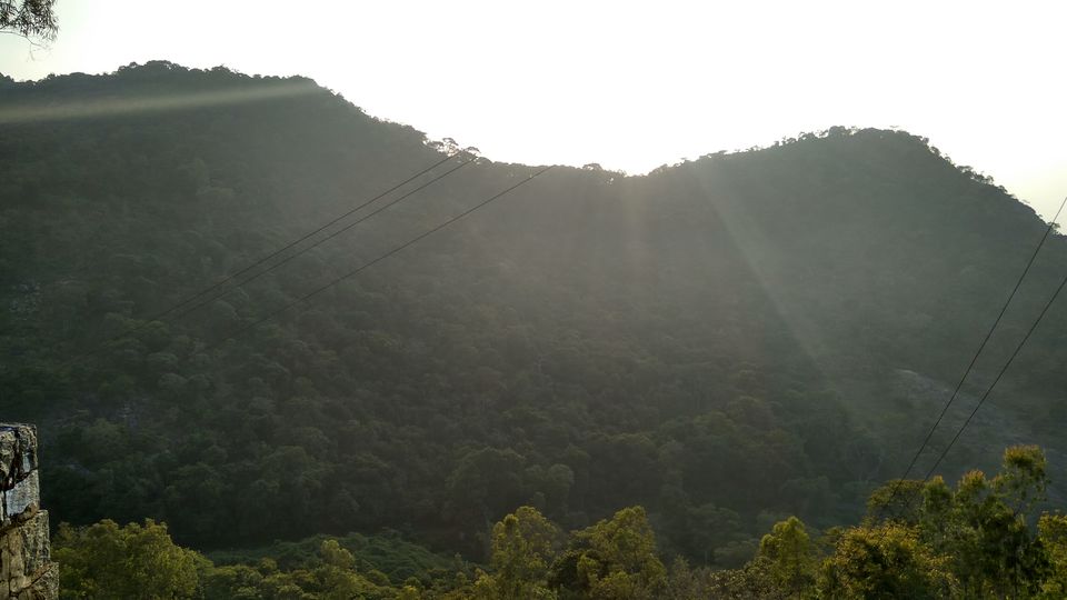 Photo of Lady's Seat, Yercaud, Tamil Nadu, India by Akul Bajaj