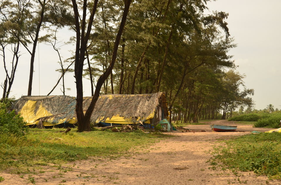 Photo of Betalbatim beach - Breaking the Goan Stereotype 1/2 by Akul Bajaj