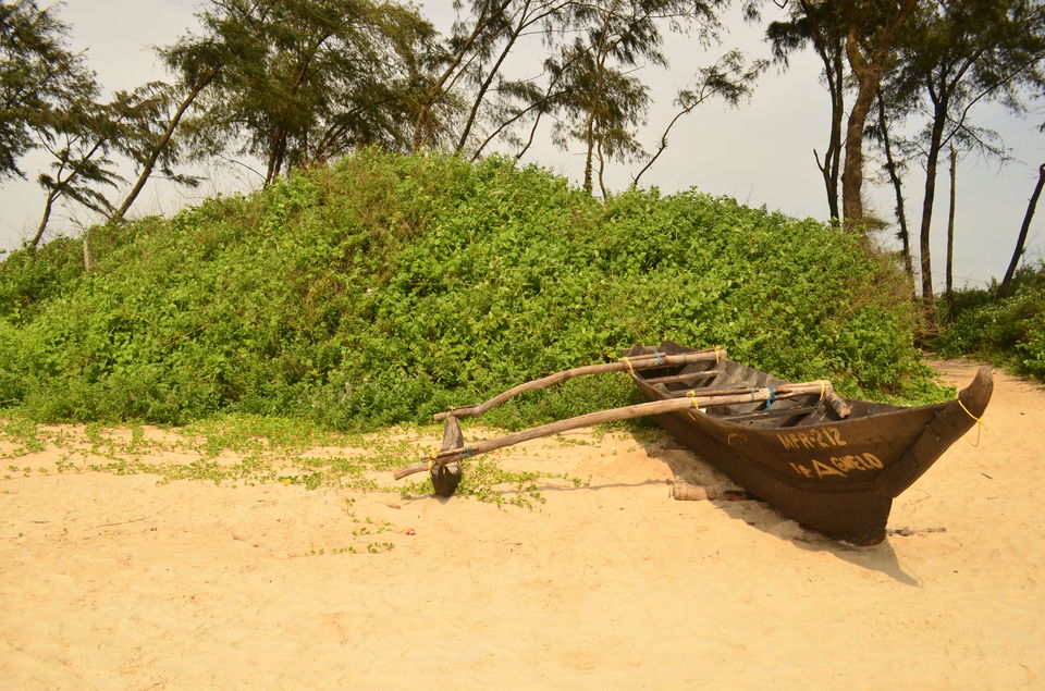 Photo of Betalbatim beach - Breaking the Goan Stereotype 2/2 by Akul Bajaj