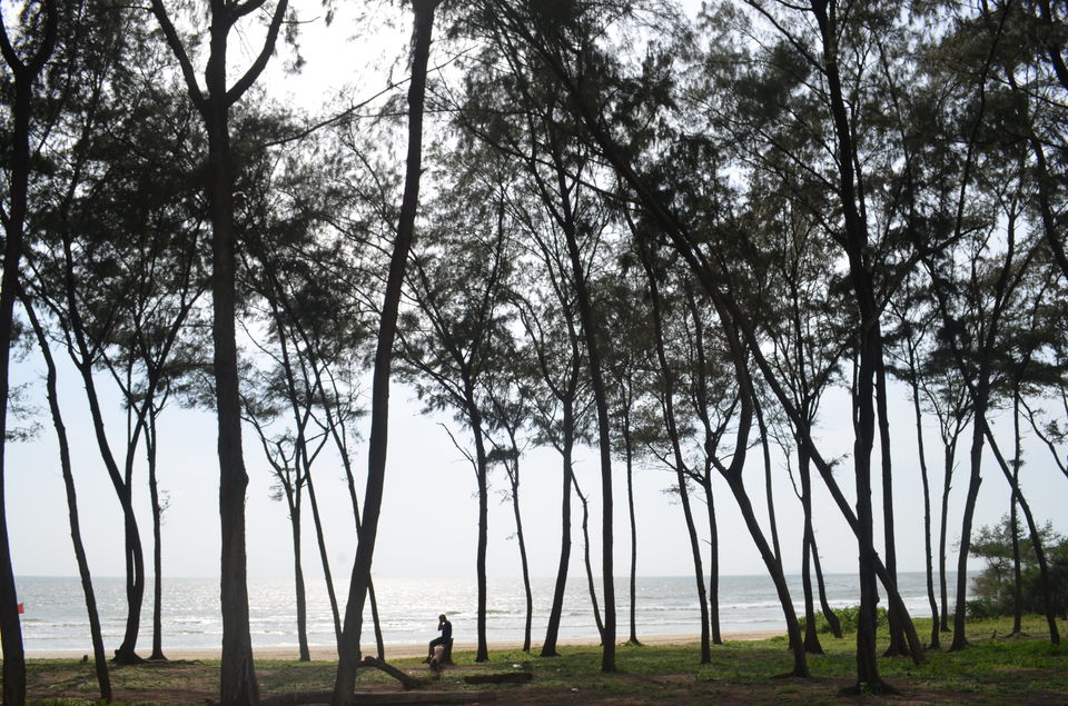 Photo of Betalbatim, Goa, India by Akul Bajaj