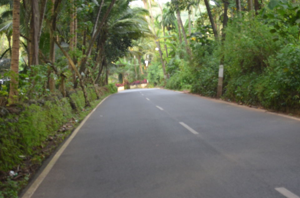 Photo of Betalbatim beach - Breaking the Goan Stereotype by Akul Bajaj