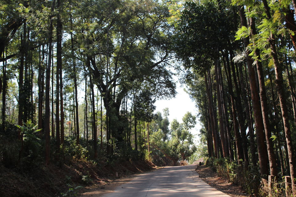 Photo of Kemmannugundi, India by Akul Bajaj