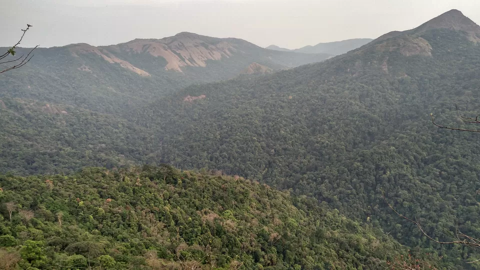 Photo of Bisle State Forest, Karnataka, India by Akul Bajaj