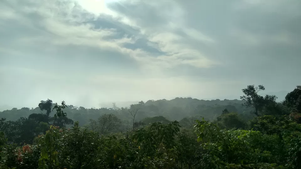 Photo of Bisle Ghat, Bisle State Forest, Karnataka, India by Akul Bajaj