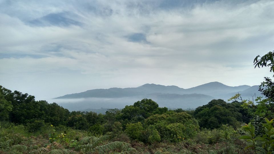 Photo of Bisle State Forest, Karnataka, India by Akul Bajaj