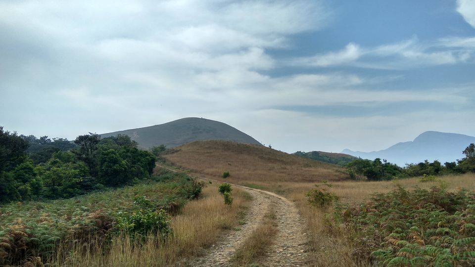 Photo of Bisle State Forest, Karnataka, India by Akul Bajaj