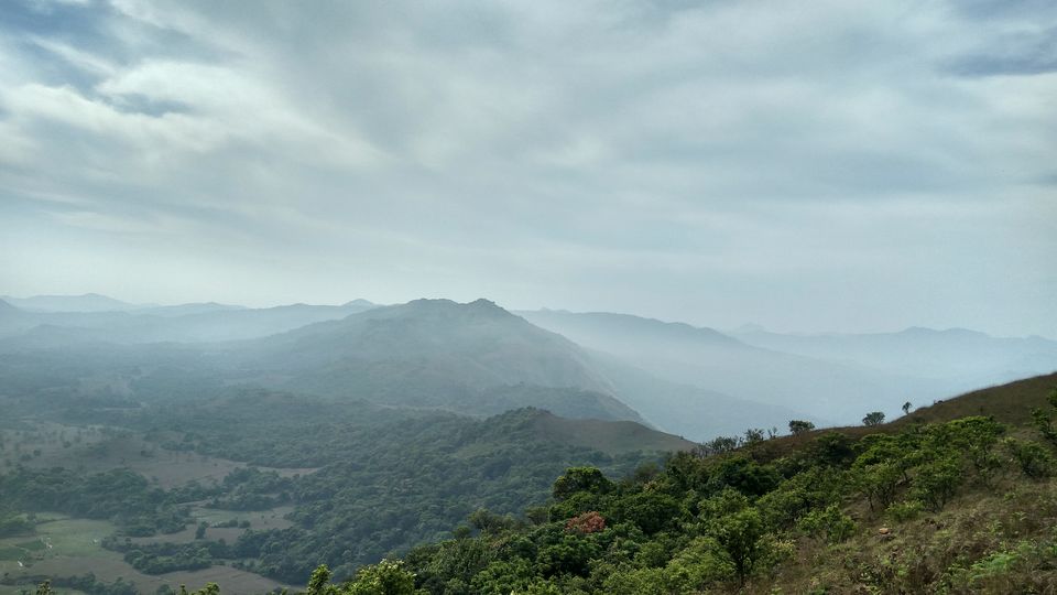 Photo of Bisle Ghat -Treat yourself with green rush of this forest reserve! by Akul Bajaj
