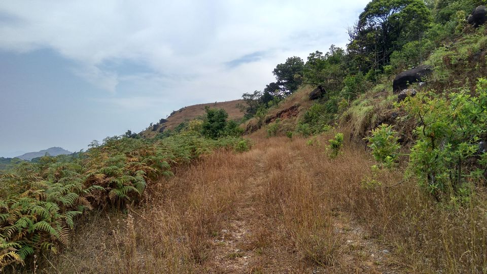 Photo of Bisle Ghat -Treat yourself with green rush of this forest reserve! by Akul Bajaj