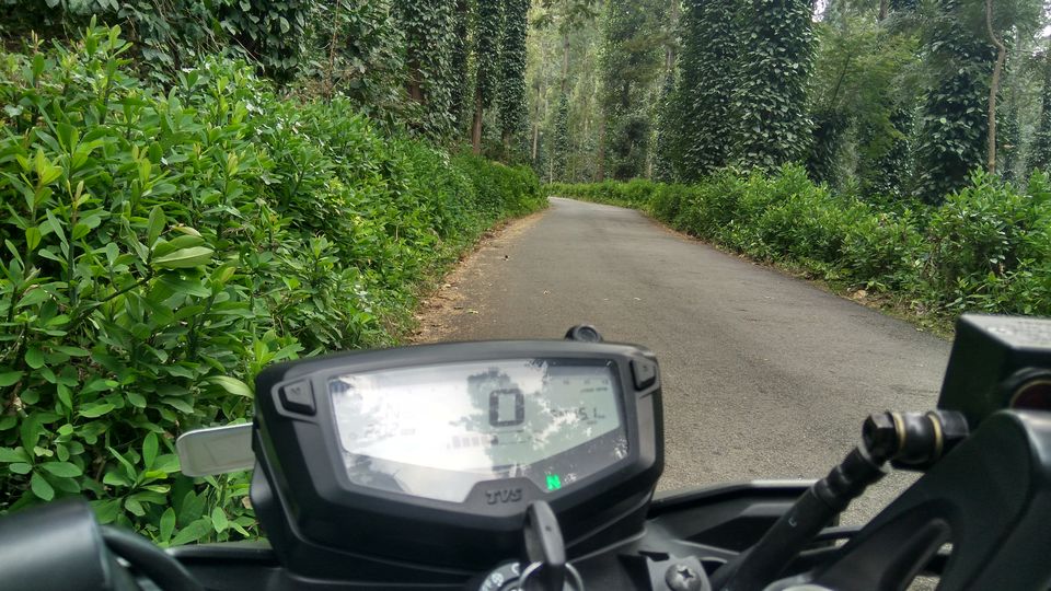 Photo of How to choose your dragon - Taking the perfect bike for your next trip 4/4 by Akul Bajaj