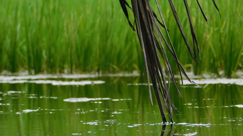 Photo of Honnavar, Karnataka, India by Akul Bajaj