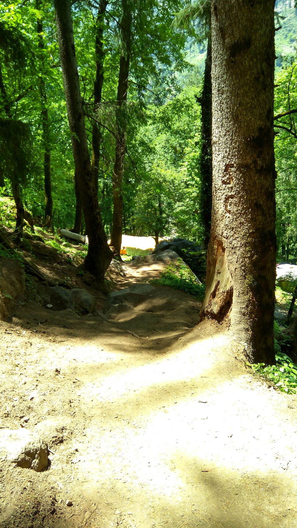 Photo of When the mountains come calling - Kheerganga trek by Akul Bajaj