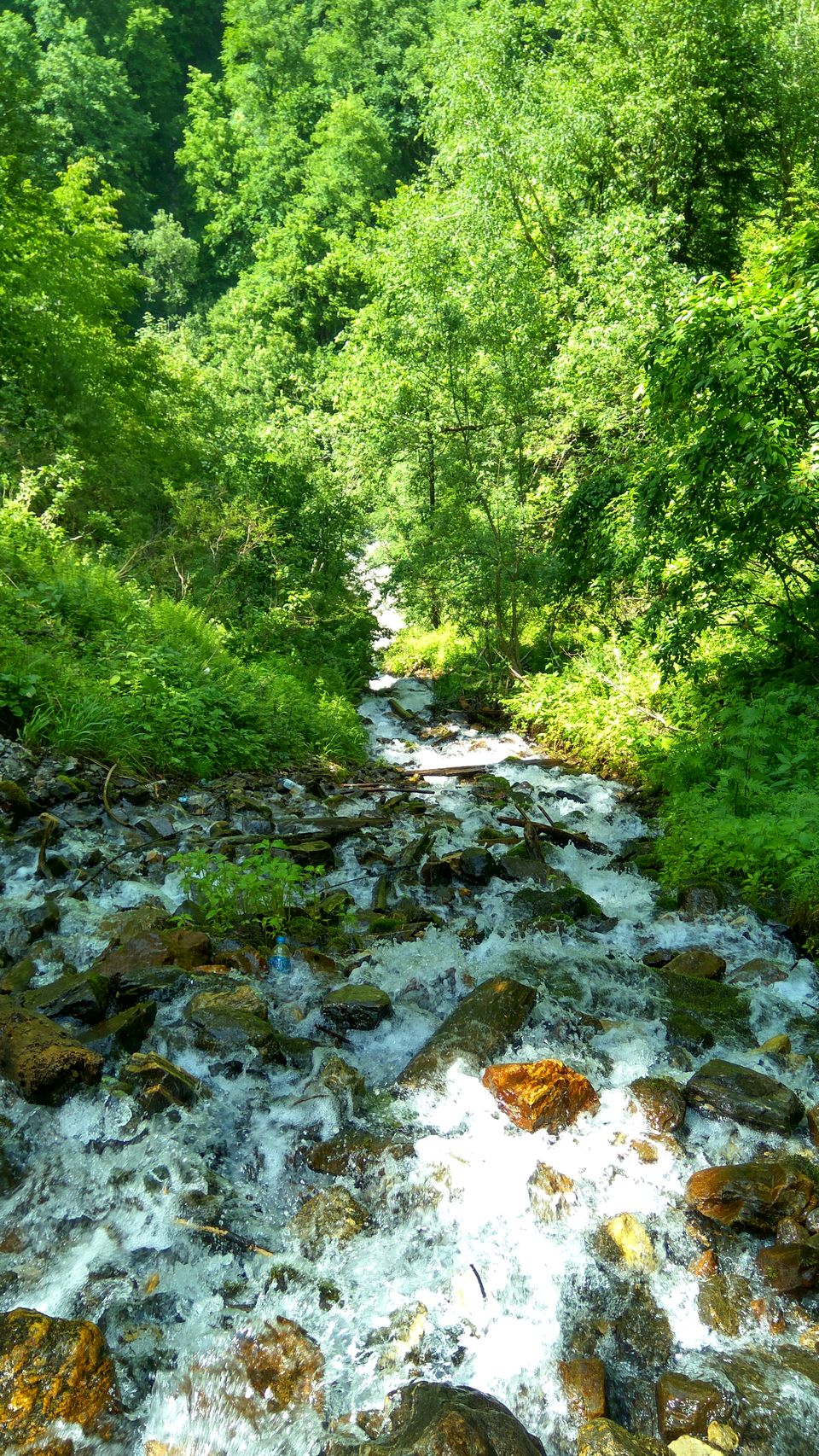 Photo of When the mountains come calling - Kheerganga trek by Akul Bajaj