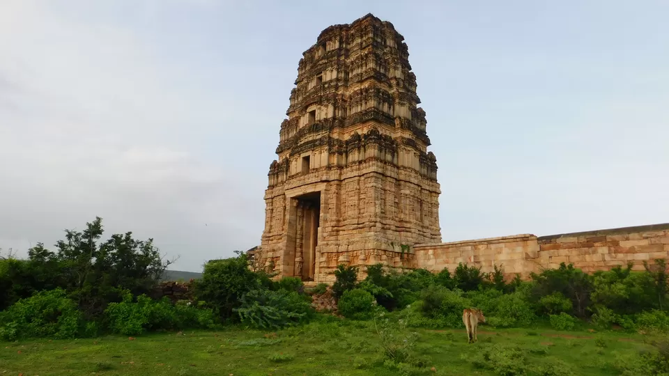Photo of Gandikota, Andhra Pradesh, India by Akul Bajaj