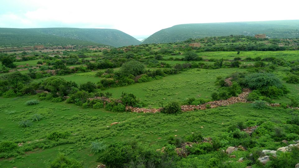 Photo of Gandikota - Where the beauty of drive matches to that of destination! by Akul Bajaj
