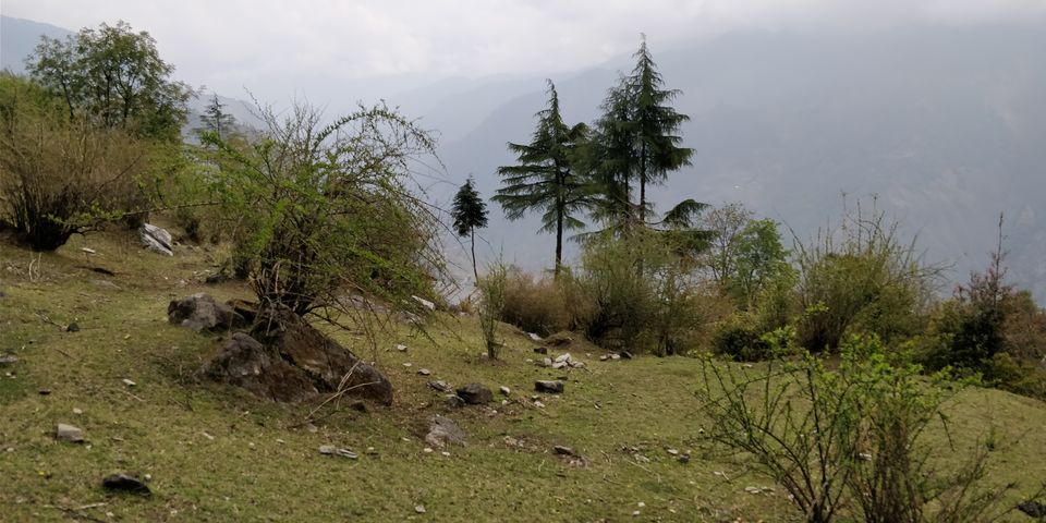 Photo of Dayara Bugyal detailed Itinerary and experience: Part 1 by Akul Bajaj