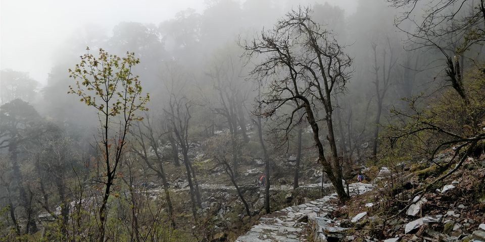 Photo of Dayara Bugyal detailed Itinerary and experience: Part 1 by Akul Bajaj