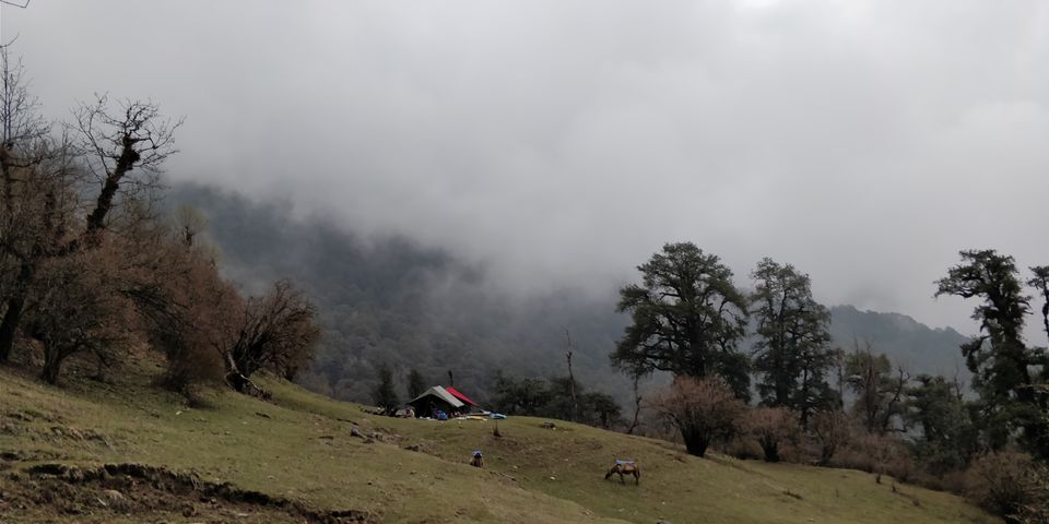 Photo of Dayara Bugyal detailed Itinerary and experience: Part 1 by Akul Bajaj