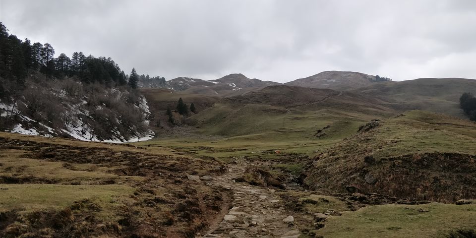 Photo of Dayara Bugyal detailed Itinerary and experience: Part 2 by Akul Bajaj