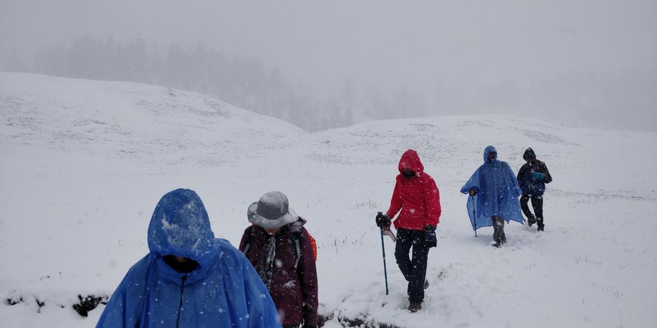 Photo of Dayara Bugyal detailed Itinerary and experience: Part 2 by Akul Bajaj