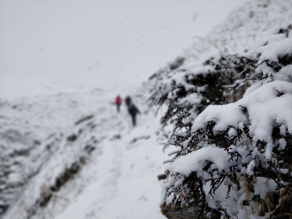 Photo of Dayara Bugyal detailed Itinerary and experience: Part 2 by Akul Bajaj