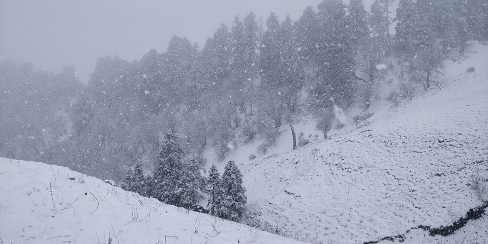 Photo of Dayara Bugyal detailed Itinerary and experience: Part 2 by Akul Bajaj