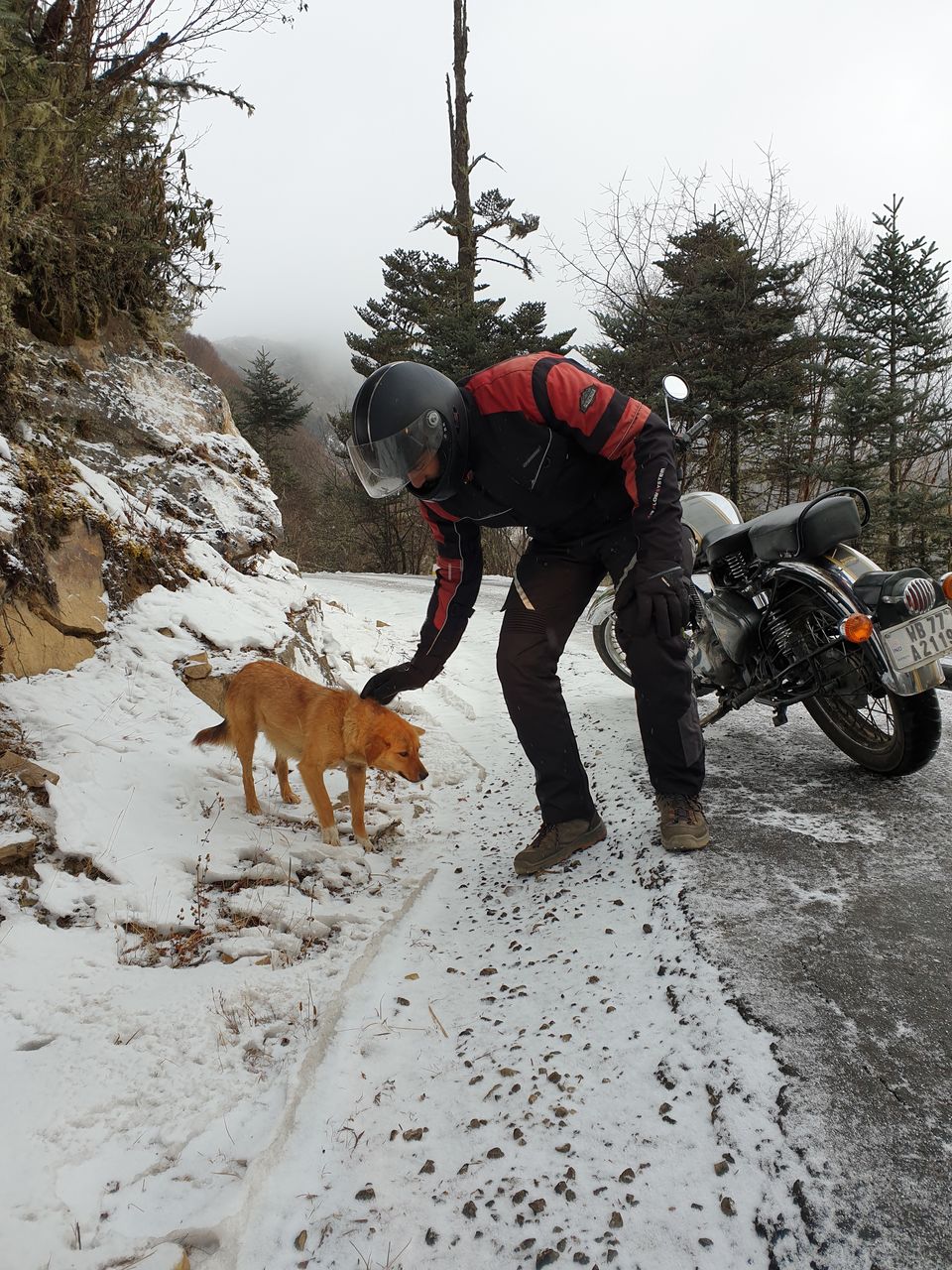 Photo of Exploring the land of Thunder Dragon on Enfield! Complete Bhutan Itinerary. by Akul Bajaj