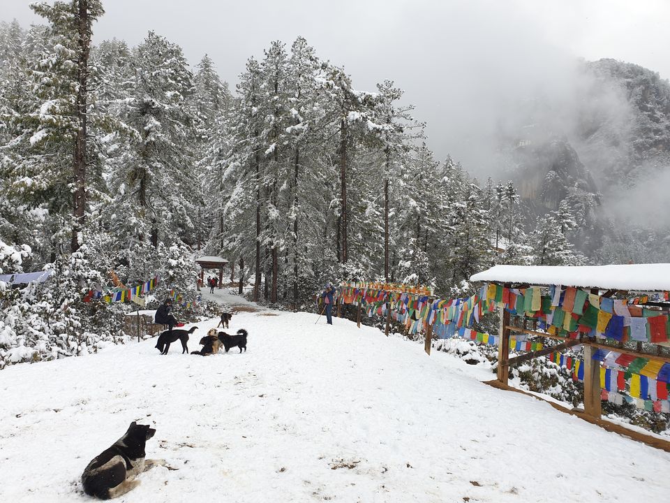 Photo of Exploring the land of Thunder Dragon on Enfield! Complete Bhutan Itinerary. by Akul Bajaj