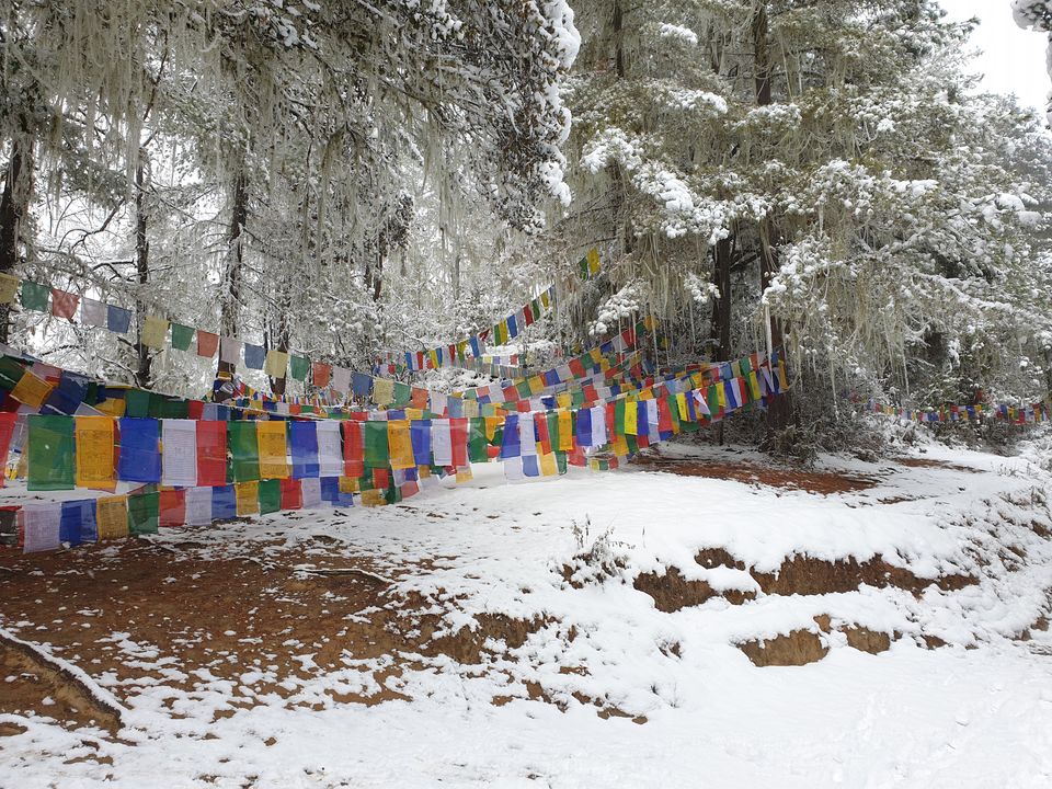 Photo of Exploring the land of Thunder Dragon on Enfield! Complete Bhutan Itinerary. by Akul Bajaj