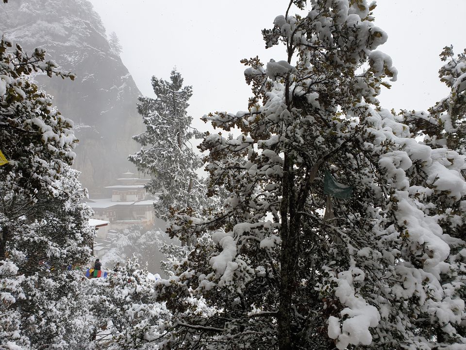 Photo of Exploring the land of Thunder Dragon on Enfield! Complete Bhutan Itinerary. by Akul Bajaj