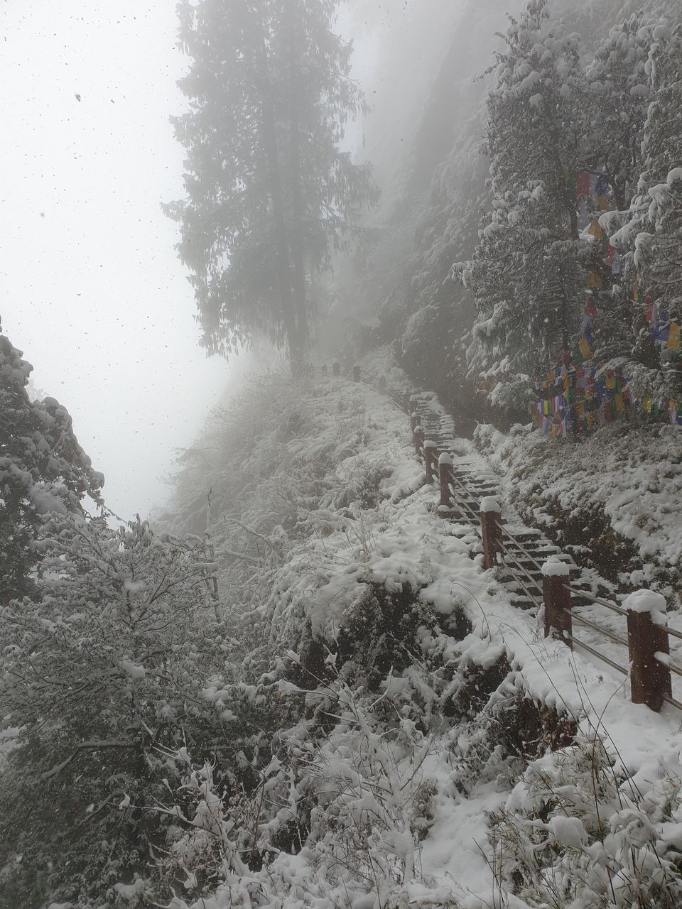 Photo of Exploring the land of Thunder Dragon on Enfield! Complete Bhutan Itinerary. by Akul Bajaj