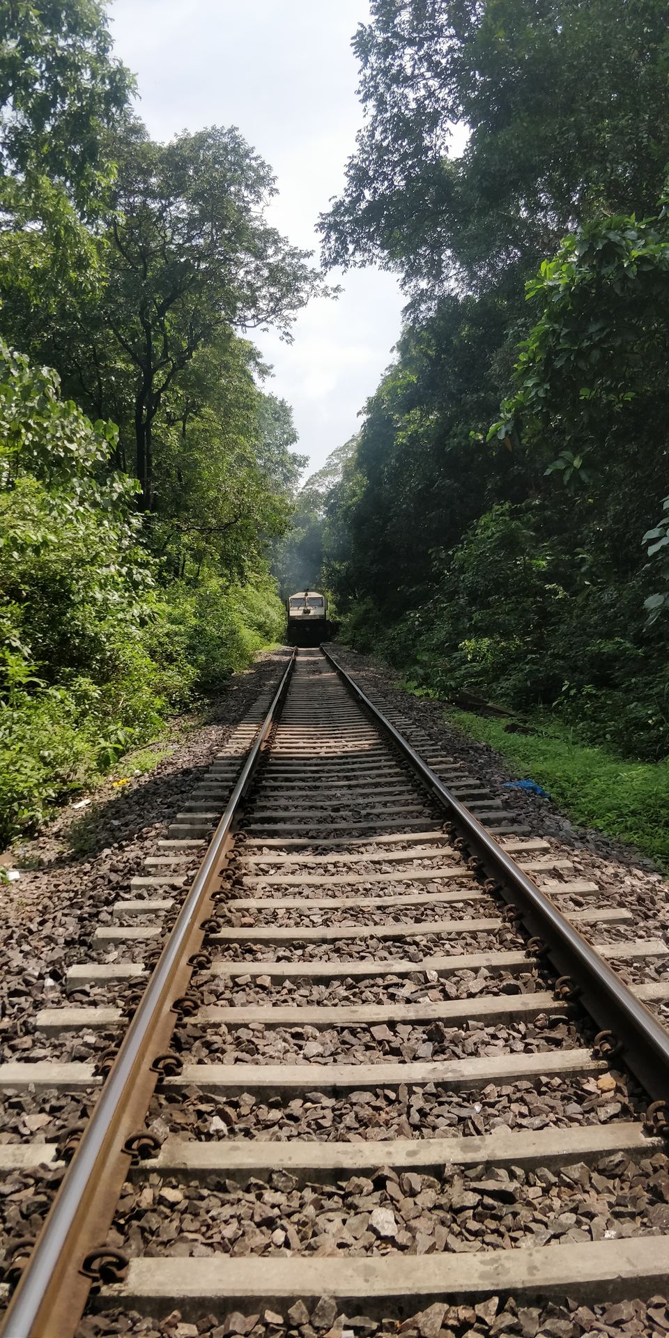 Photo of Kulem, Goa, India by Akul Bajaj
