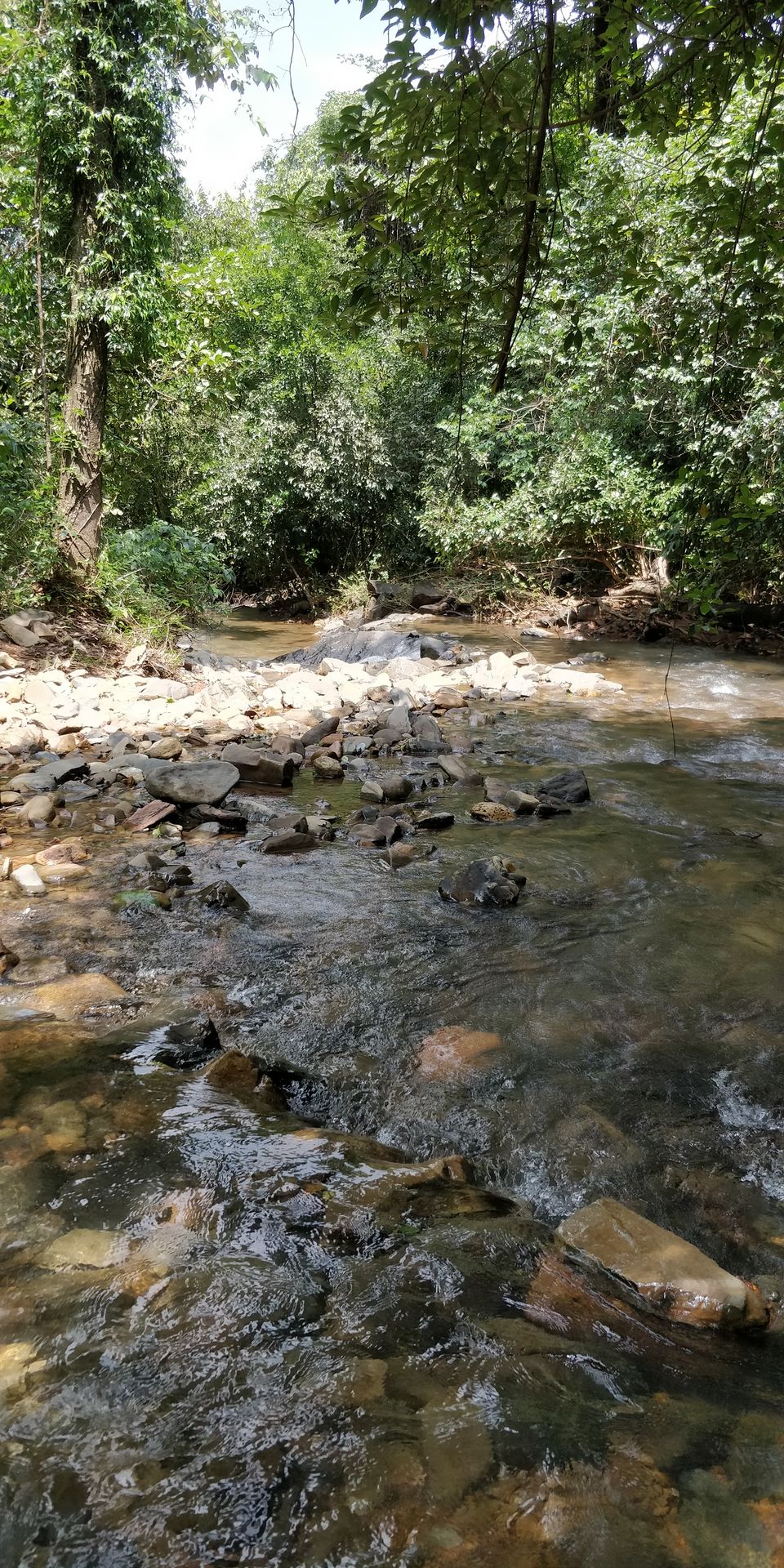 Photo of All You Need to Know About Dudhsagar Waterfalls Trek by Akul Bajaj