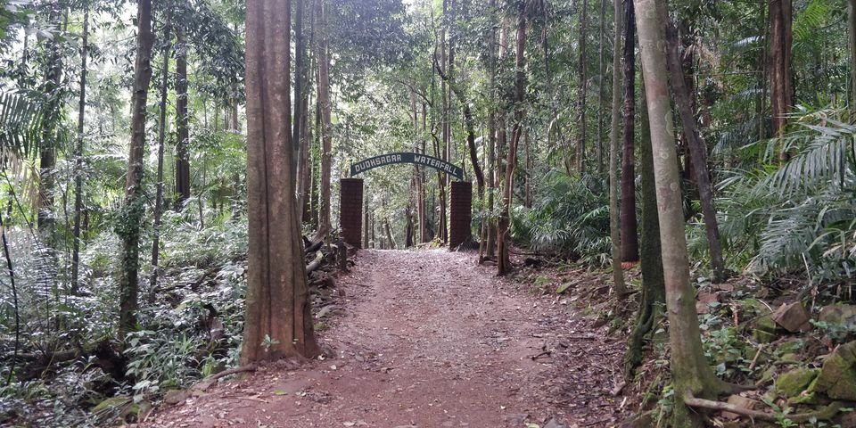 Photo of All You Need to Know About Dudhsagar Waterfalls Trek by Akul Bajaj