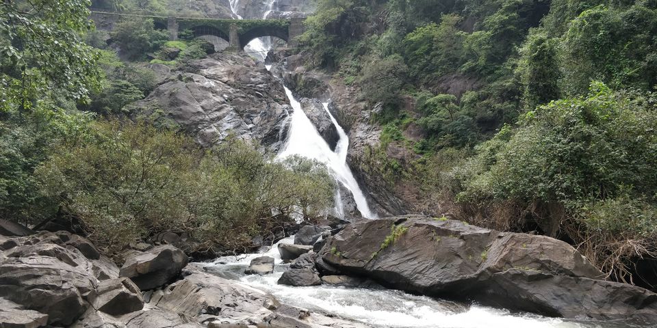 Photo of All You Need to Know About Dudhsagar Waterfalls Trek by Akul Bajaj
