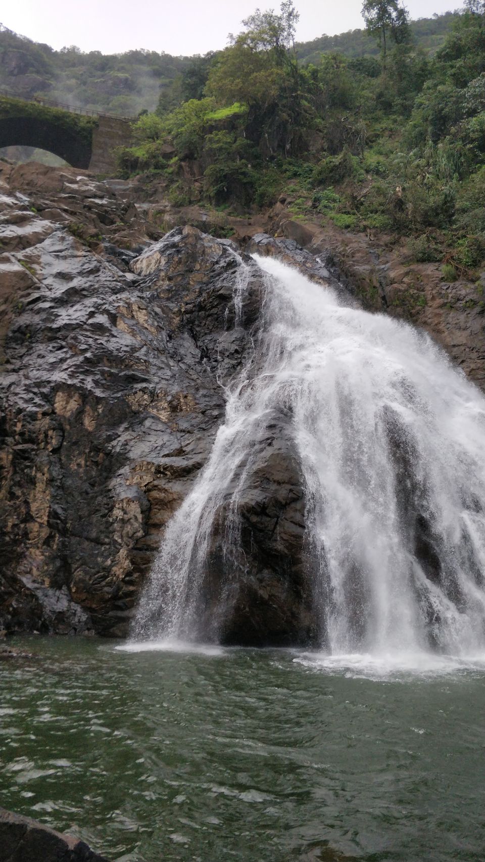 Photo of All You Need to Know About Dudhsagar Waterfalls Trek by Akul Bajaj