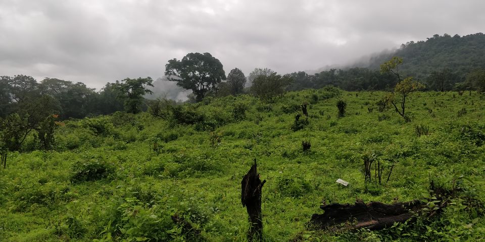 Photo of All You Need to Know About Dudhsagar Waterfalls Trek by Akul Bajaj