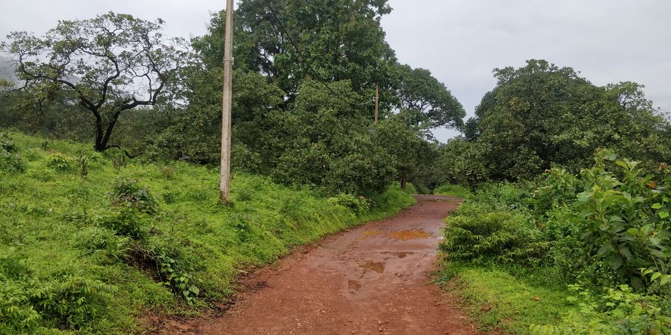 Photo of All You Need to Know About Dudhsagar Waterfalls Trek by Akul Bajaj