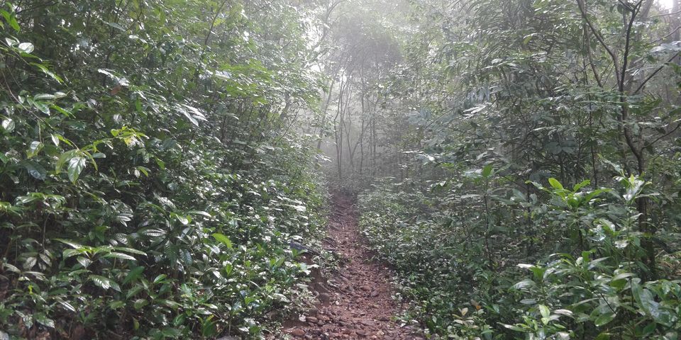 Photo of Kukke Subramanya, Post, Subramanya, Karnataka, India by Akul Bajaj