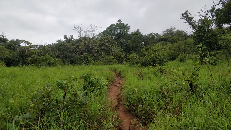 Photo of Test your fitness by scaling this peak post monsoon! by Akul Bajaj