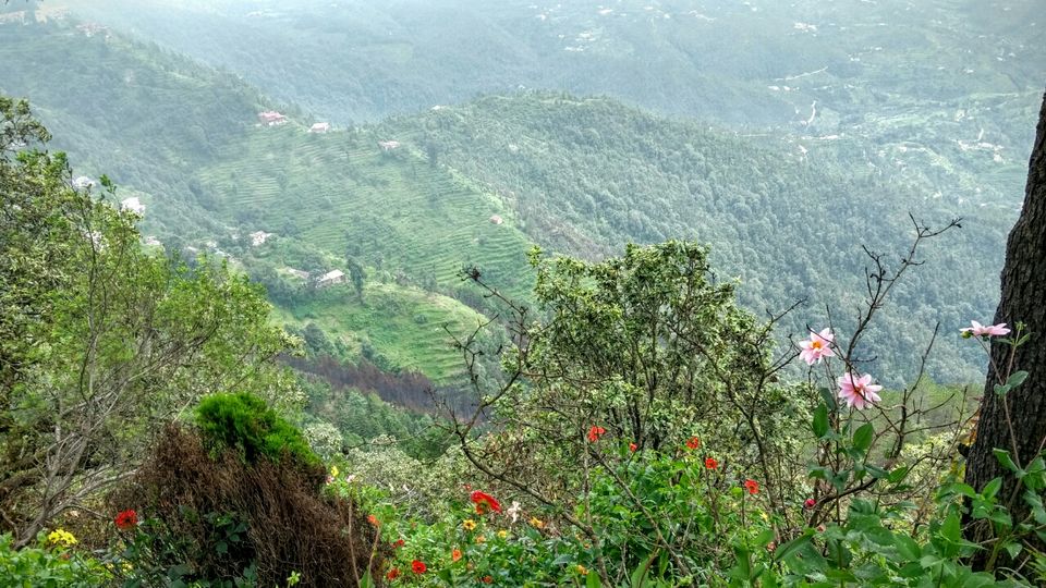 Photo of Trip to Nainital and Mukhteshwar. by atishi