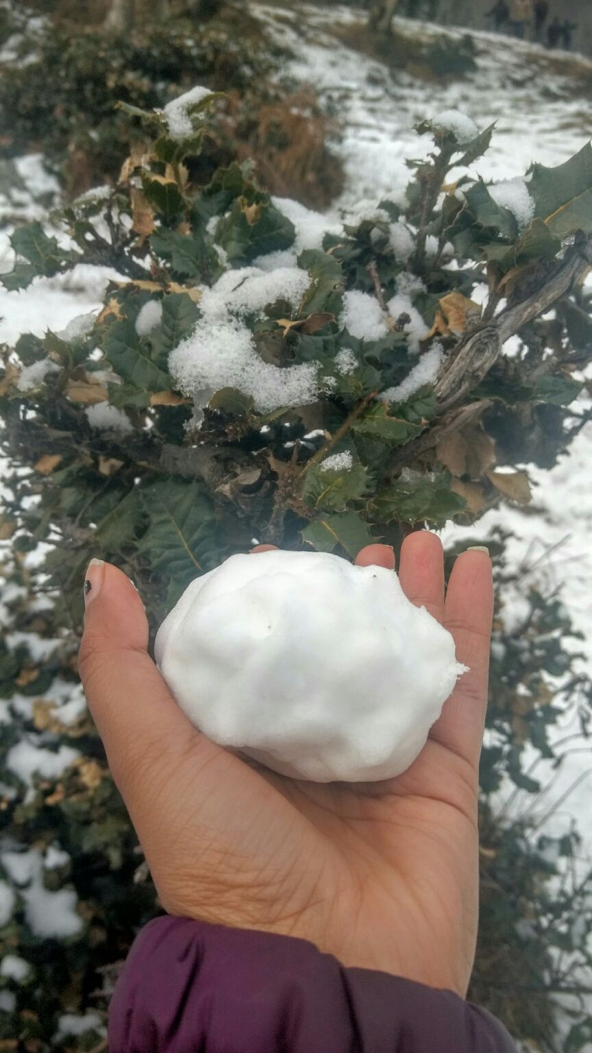 Photo of Manali, Himachal Pradesh, India by atishi
