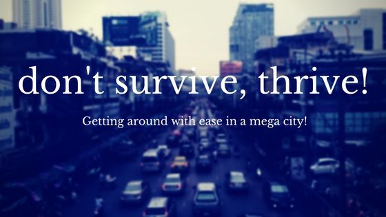 Photo of 5 Awesome Tips to Navigate Megacities! 1/1 by Naga Subramanya B B
